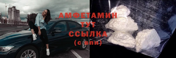 гашик Михайлов