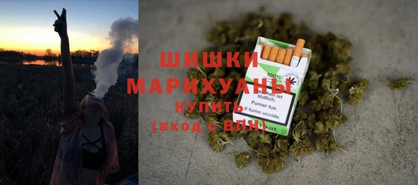 гашик Михайлов