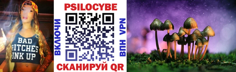Псилоцибиновые грибы мицелий Райчихинск