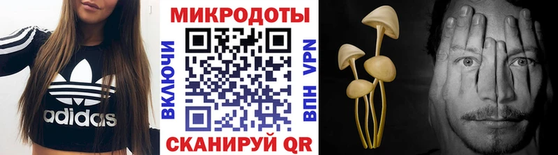 кракен зеркало  Райчихинск  Галлюциногенные грибы MAGIC MUSHROOMS 